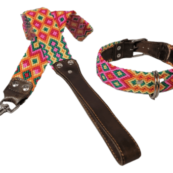 Leash and Collar Set M 20″ Yellow and Orange