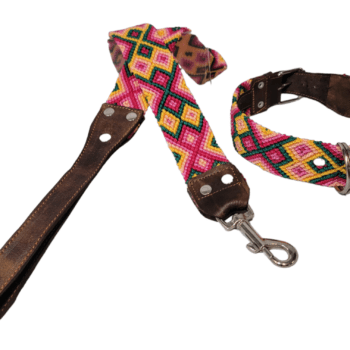 Leash and Collar Set M 20″ Pink and Yellow