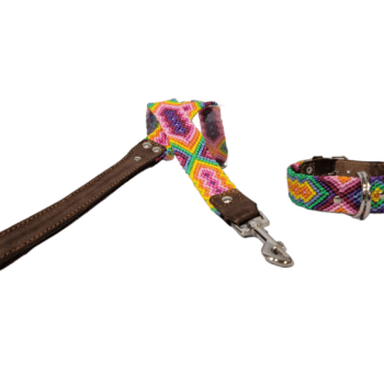 Leash and Collar Set S 16″ Green and Purple
