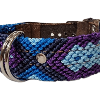 Leash and Collar Set S 16″ Blue and Purple