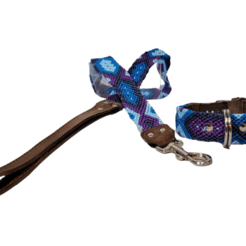Leash and Collar Set S 16″ Blue and Purple