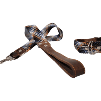 Leash and Collar Set S 16″ Brown and Blue