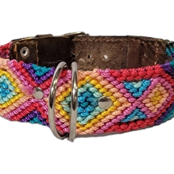 Leash and Collar Set S 16″ Pink and Blue
