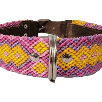 Leash and Collar Set L 24″ Pink and Yellow