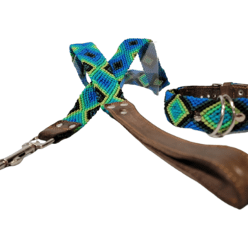 Leash and Collar Set S 16″ Blue and Green