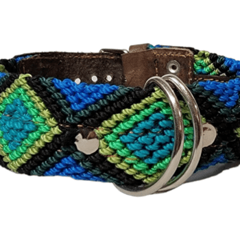Leash and Collar Set S 16″ Blue and Green