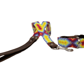 Leash and Collar Set S 16″ Blue and Yellow