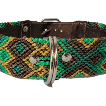 Leash and Collar Set M 20″ Green and Brown