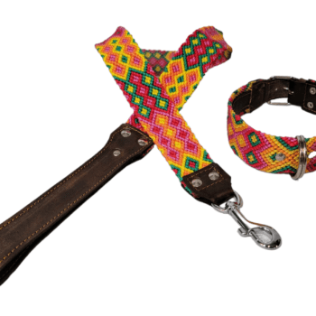 Leash and Collar Set M 20″