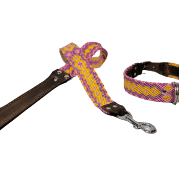 Leash and Collar Set L 24″ Pink and Yellow