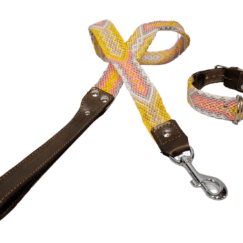 Leash and Collar Set S 16″ Yellow and Pink