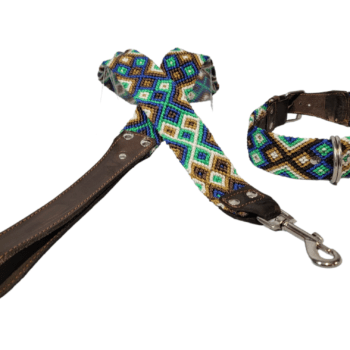 Leash and Collar Set M 20″ Blue and Green