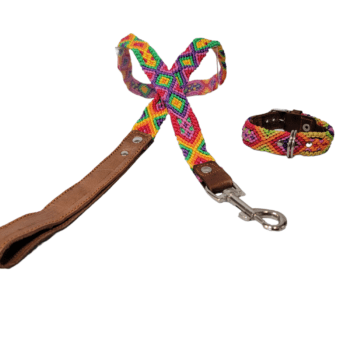 Leash and Collar Set XS 12″ Y/P
