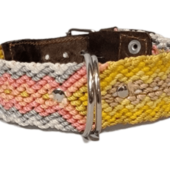 Leash and Collar Set S 16″ Yellow and Pink