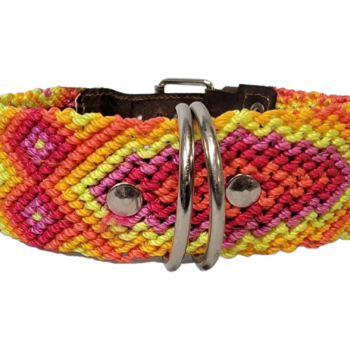 Leash and Collar Set M 20″ Orange and Yellow