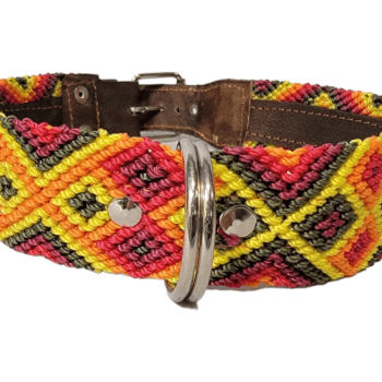 Leash and Collar Set L 24″ Red and Yellow