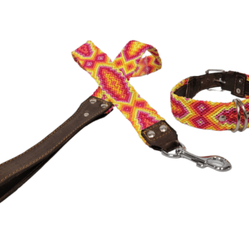 Leash and Collar Set M 20″ Orange and Yellow