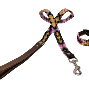 Leash and Collar Set XS 12″ Gold/Pink