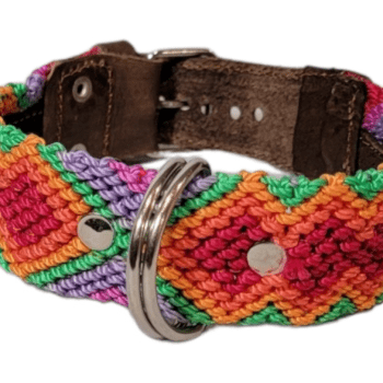 Leash and Collar Set S 16″ Green and Purple