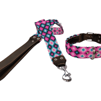 Leash and Collar Set L 24″ Pink and Blue