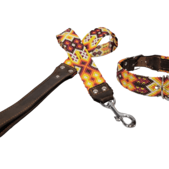 Leash and Collar Set M 20″ Orange and Yellow