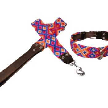 Leash and Collar Set L 24″ Red and Blue