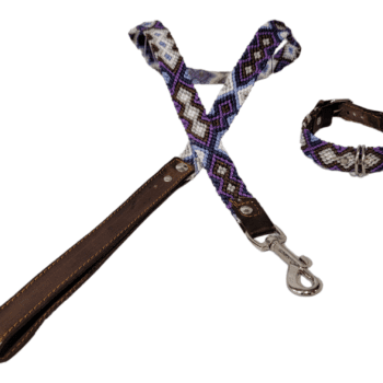 Leash and Collar Set XS 12″ Purple