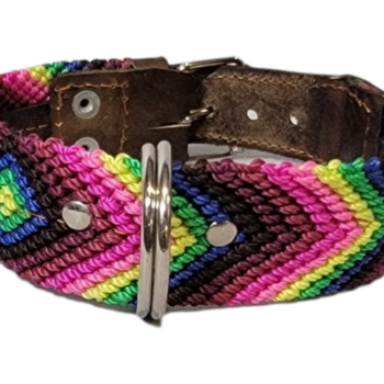 Leash and Collar Set S 16″ Pink and Green