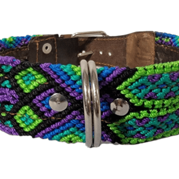 Leash and Collar Set M 20″ Green and Purple