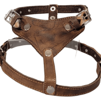 Hand Braided Leather Harness (Medium)