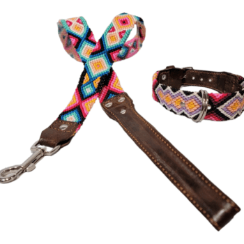 Leash and Collar Set S 16″ Pink and Orange