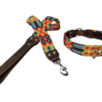 Leash and Collar Set L 24″ Blue and Yellow