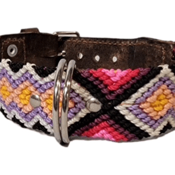 Leash and Collar Set S 16″ Pink and Orange